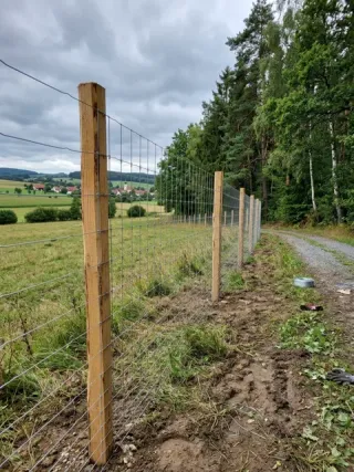 Wildzaun in Hannover - fachgerechte Ausführung vor Ort